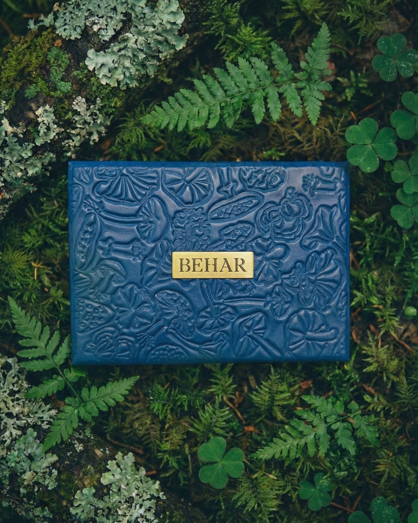 CARTAS FUNGI PERSONALIZADAS.