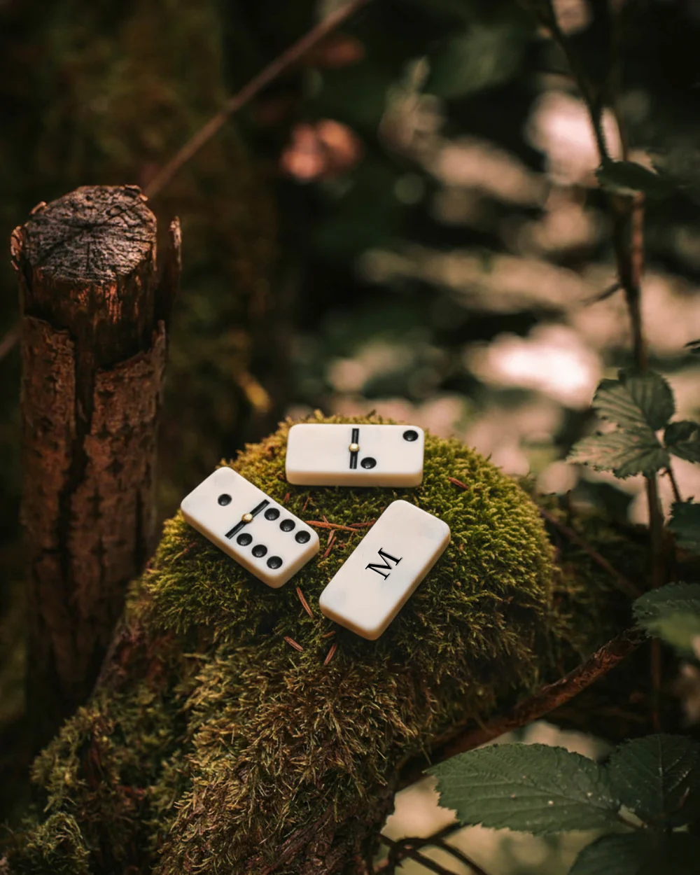 DOMINÓ FUNGI PERSONALIZADO.