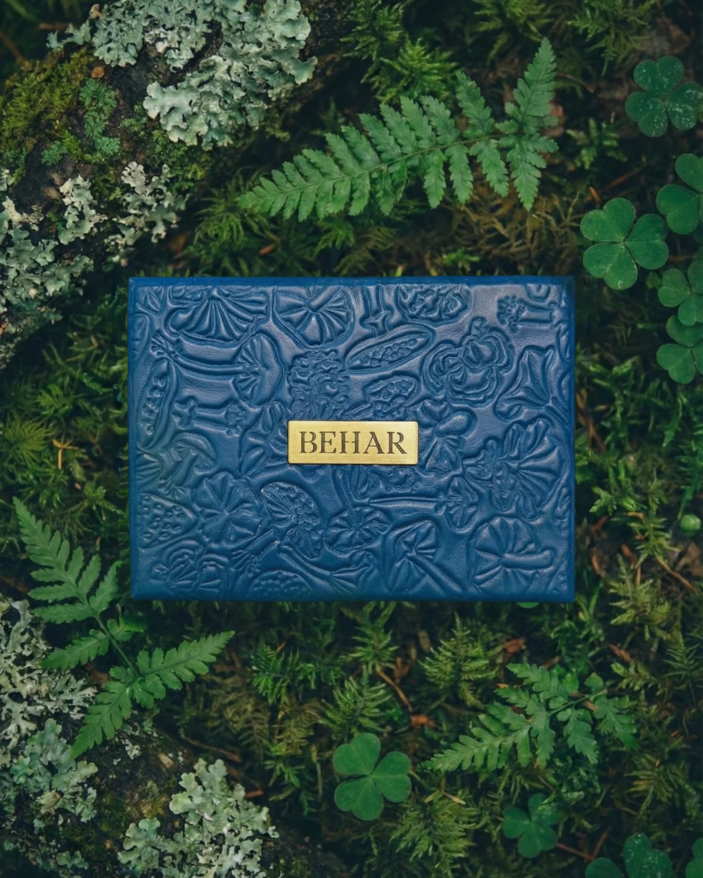 CARTAS FUNGI PERSONALIZADAS.